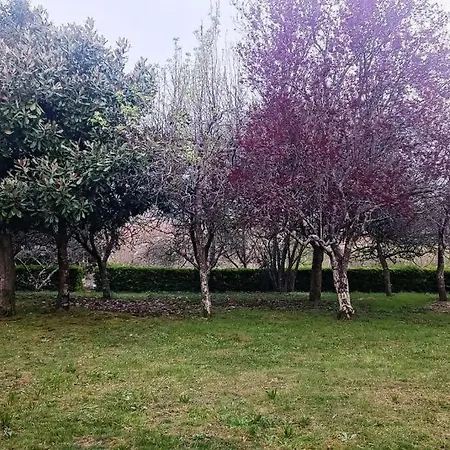 Casa A Piorneira * Teo